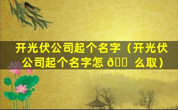 开光伏公司起个名字（开光伏公司起个名字怎 🐠 么取）